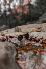 glasses and leaves near a puddle on the stones