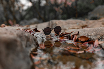 glasses and leaves near a puddle on the stones