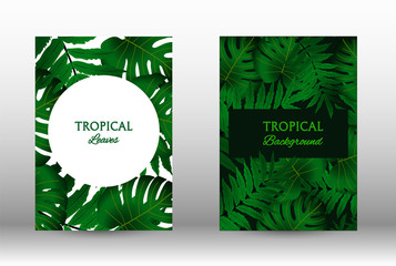 A set of tropic