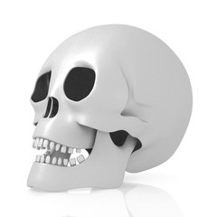 3D human skull on white background