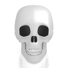 3D human skull on white background