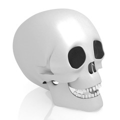 3D human skull on white background