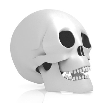 3D human skull on white background