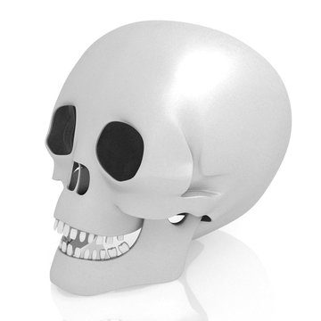 3D human skull on white background