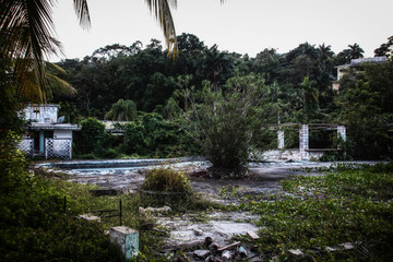 A caribbean dream - travel to Jamaica