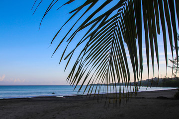 A caribbean dream - travel to Jamaica