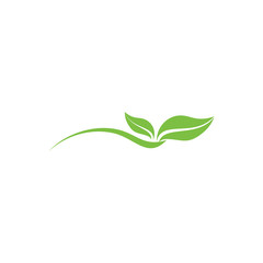 simple curves leaf dynamic logo vector