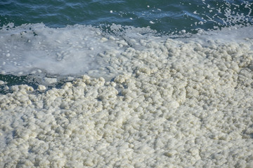 Sea foam forming along ocean shore.