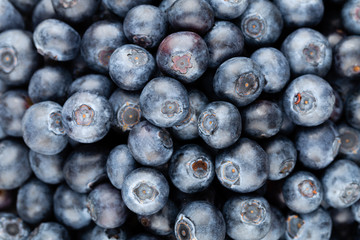 Fresh blueberry background. Texture blueberry berries close up.