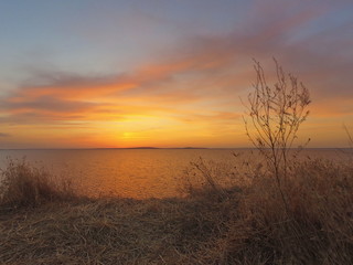 Obraz premium Orange sunset on the beach, Kiziltashsky estuary, Krasnodar territory, Russia
