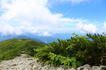 Fototapeta na wymiar Hodaka mountain, august, Japan