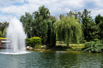 Fototapeta na wymiar Fountain in pond near green trees and plants on grass
