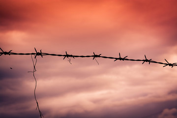 Barbed wire. Barbed wire on fence with blue sky to feel worrying.