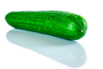 Fresh, green Cucumber isolated on white background. Organic vegetables. 