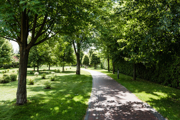 Fototapeta na wymiar shadows on green grass with bushes and trees near path in park