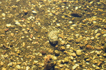 texturas bajo el agua
