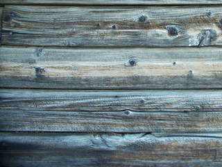 Obraz premium Wood texture for your design