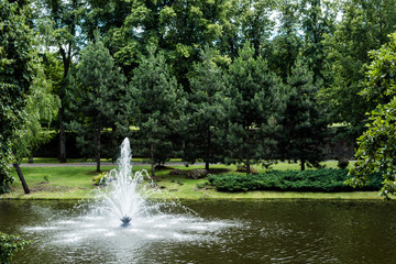 Green trees with fresh leaves near fountain in pond