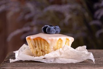Muffin with bluberry decorated with lavender on rustic old wooden bench against of dark background
