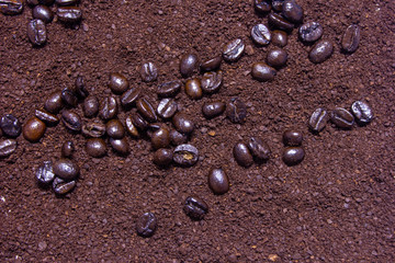 coffee beans on coffee background
