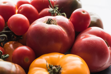 close up view of yellow and red tomatoes