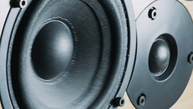 Close up of Bass speaker membrane vibration.