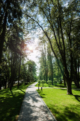 Fototapeta na wymiar sunlight on walkway with shadows from trees in park