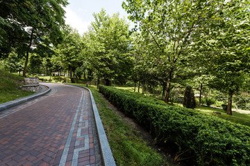 Fototapeta na wymiar paving stones on path near green trees and bushes in park