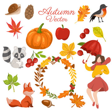 Autumn elements collection with decorative wreath. vector illustration