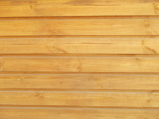 Fototapeta premium Wood texture for design