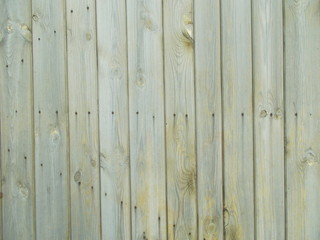 Naklejka premium Wood texture for design