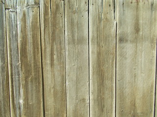  Wood texture for design
