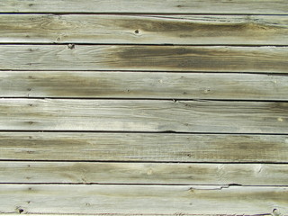 Fototapeta premium Wood texture for design