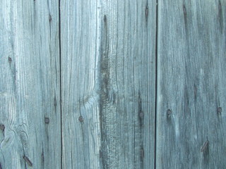 Obraz premium Wood texture for design