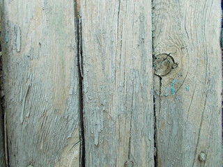 Obraz premium Wood texture for design