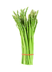 asparagus isolated on a white background