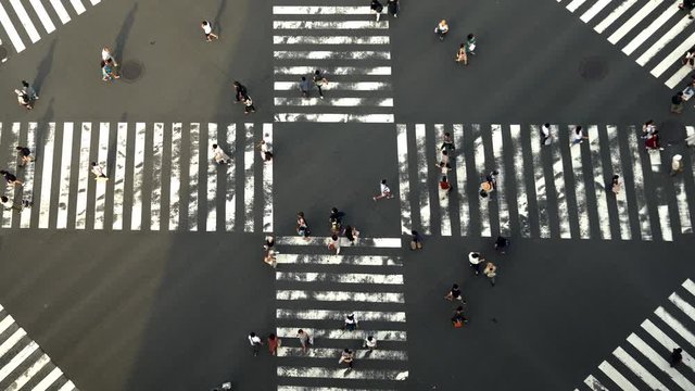 4K High Angle aerial view wide shot of pedestrian man and woman tourist walking crossing the street crosswalk downtown district intersection road in summer at Ginza, Tokyo, Japan