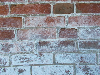  Brick wall for interior design