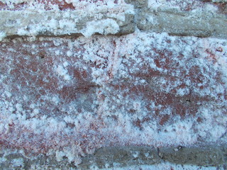  Brick wall for interior design