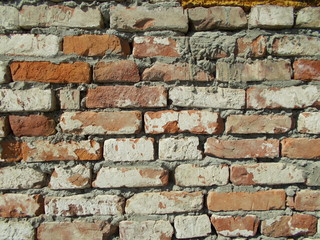  Brick wall for interior design