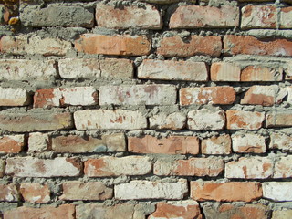  Brick wall for interior design