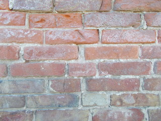  Brick wall for interior design