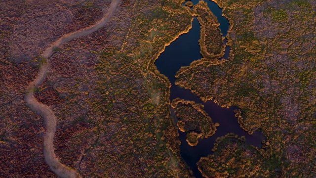 Aerial Top Down View over Scenic Upland Pools