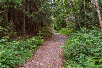 Fototapeta na wymiar View at Mountain Trail in British Columbia, Canada. Mountains Background. DeBeck Trail.