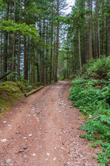 View at Mountain Trail in British Columbia, Canada. Mountains Background. DeBeck Trail.