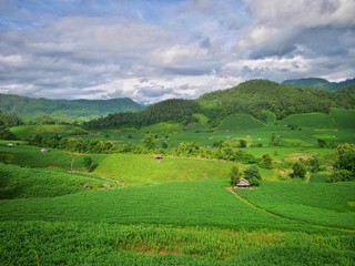 landscape of paddy field in Mae Hong Son province, Thailand.