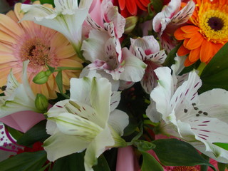  Bouquet of bright beautiful flowers