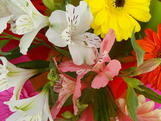  Bouquet of bright beautiful flowers