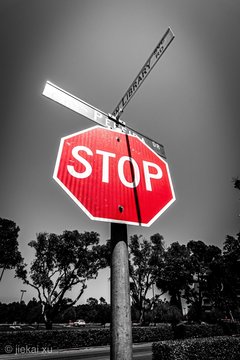 stop sign on the road