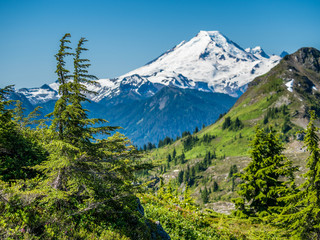 Mount Baker: the major peak  in North Cascade Mountains